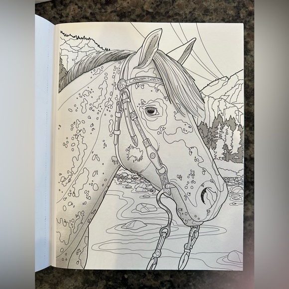 Color Art and Magical Garden Coloring Book Bundle - Picture 3 of 5